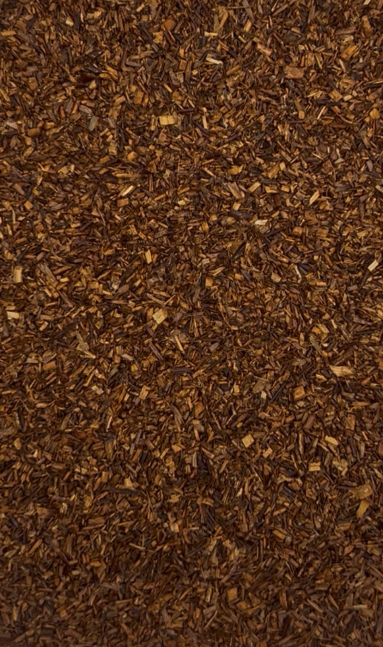 Rooibos thee - Afbeelding 1